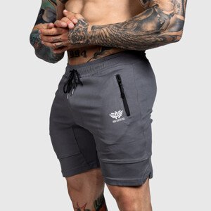 Sportovní šortky Iron Aesthetics Lightning, tmavě šedé