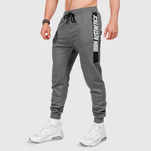 Pánské tepláky Iron Aesthetics Fit Kit, šedé