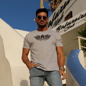 Pánské sportovní tričko Iron Aesthetics Break, šedé