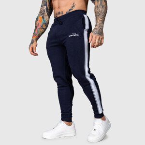 Jogger tepláky Iron Aesthetics Strips, navy