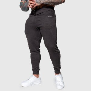 Pánské sportovní tepláky Iron Aesthetics Flexi, tmavě šedé