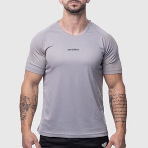 Pánské sportovní tričko Iron Aesthetics Training, šedé