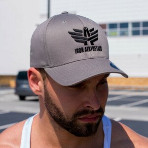 Pánská kšiltovka Iron Aesthetics FlexFit, šedá