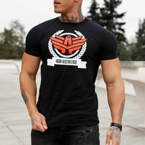 Pánské fitness tričko Iron Aesthetics Triumph, černé