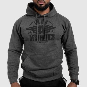 Fitness mikina bez zipu Iron Aesthetics Force, Charcoal Grey