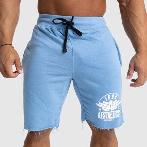 Pánské teplákové kraťasy Iron Aesthetics Force, světle modrá