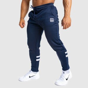 Jogger tepláky Iron Aesthetics Boxed, navy