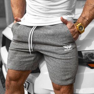 Pánské teplákové kraťasy Iron Aesthetics Twist, šedé