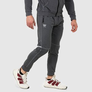 Sportovní tepláky Iron Aesthetics PowerFit, šedé