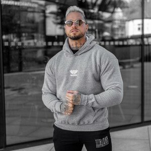 Mikina s kapucí Iron Aesthetics Movex, šedá